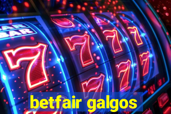 betfair galgos